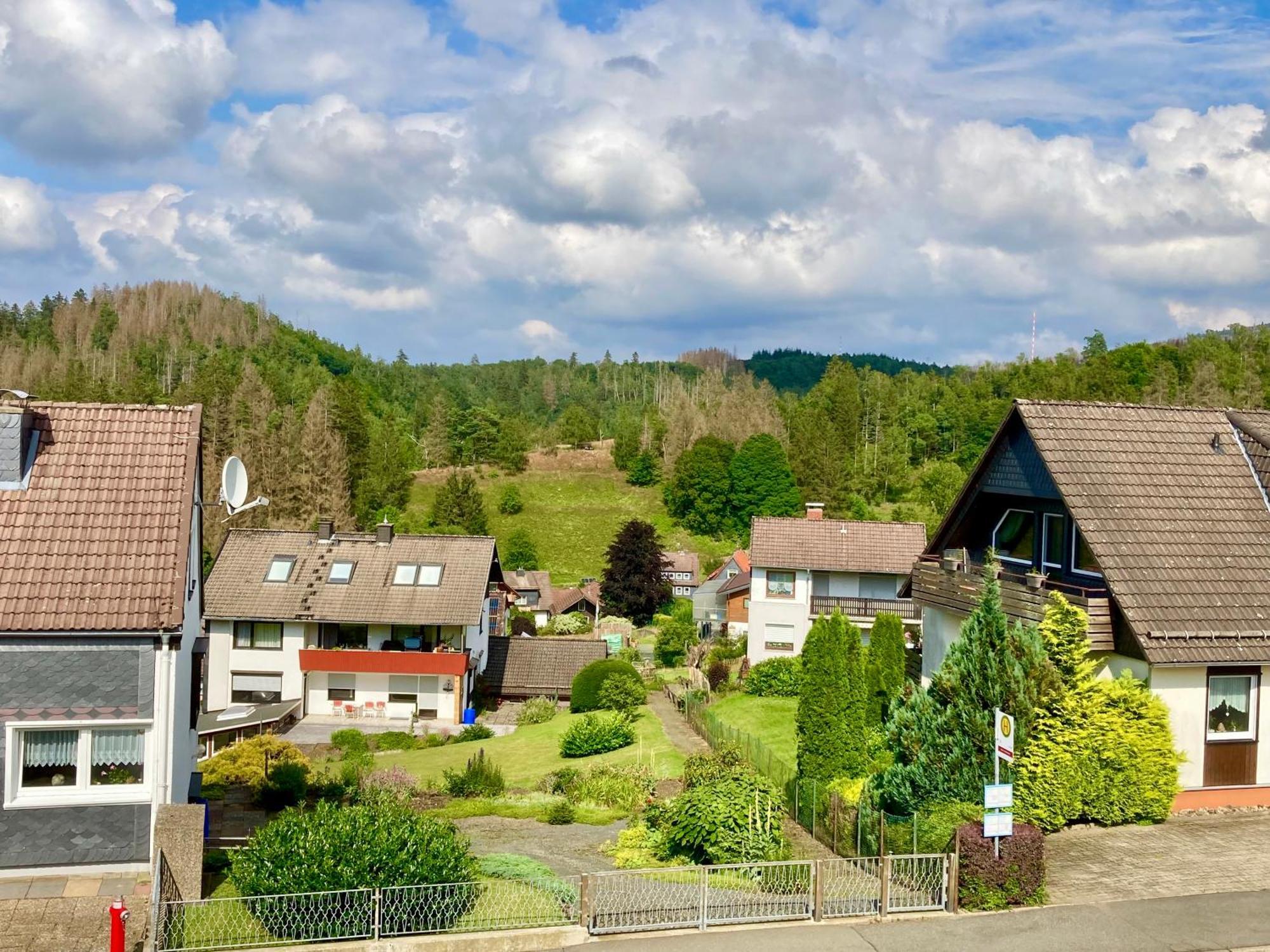 Haus Wilma Appartement Altenau  Buitenkant foto